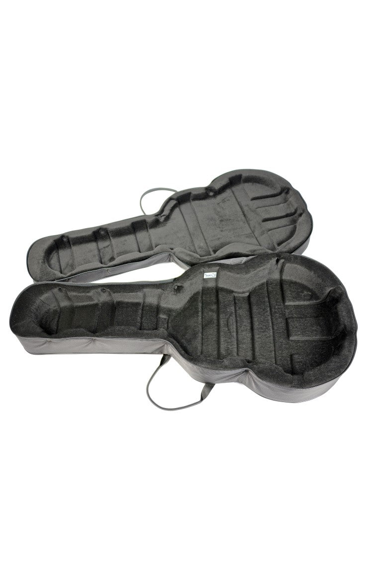 Classical guitar 2025 flight case