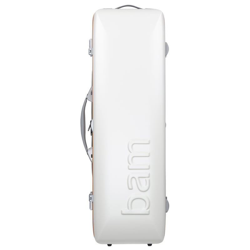 GRAFFITI HIGHTECH OBLONG VIOLA CASE – Bam Cases