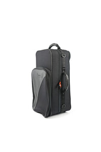 TREKKING TWO TRUMPETS CASE