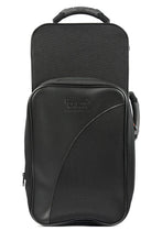 TREKKING TWO TRUMPETS CASE