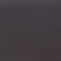 HIGHTECH L'ETOILE FLUTE CASE