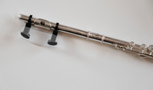 PROTECTIVE FLUTE SHIELD
