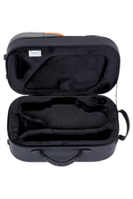 PEAK PERFORMANCE Cornet case