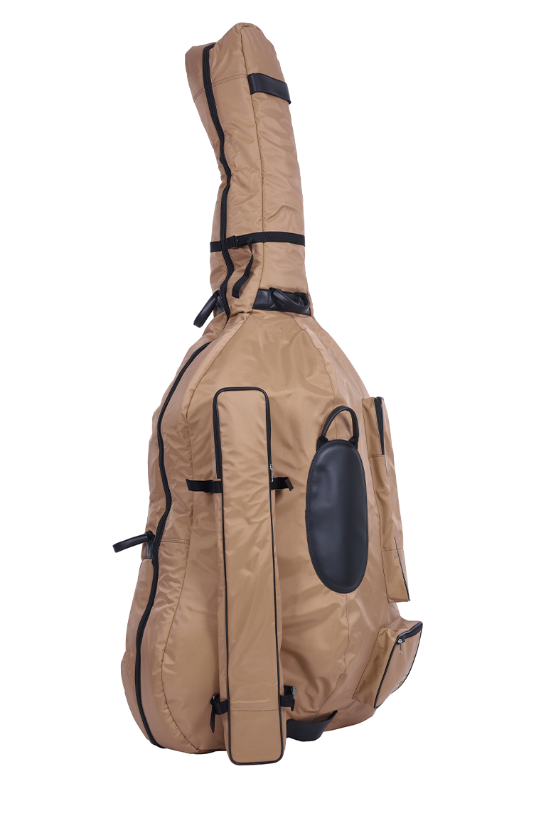 Buy Guitar Cases/Bags Online