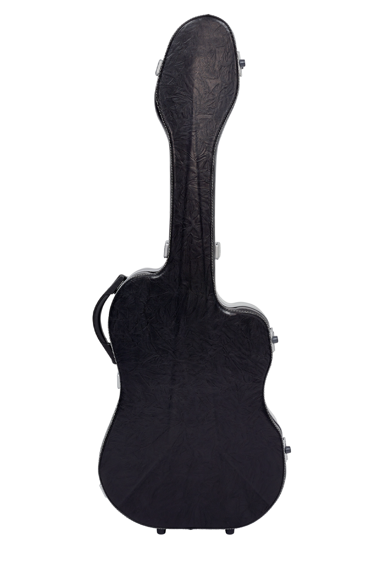 Guitar case on back sales