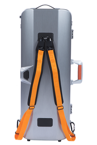 LA DEFENSE HIGHTECH OBLONG VIOLA CASE