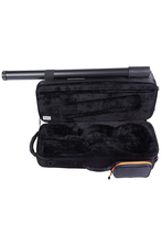 PEAK PERFORMANCE COMPACT VIOLIN CASE