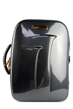 NEW TREKKING Bb CLARINET & MUSIC STAND CASE
